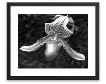 Infrarot Orchidee Druck, schwarz weiss Blumen Fotografie (Digitaler Download)