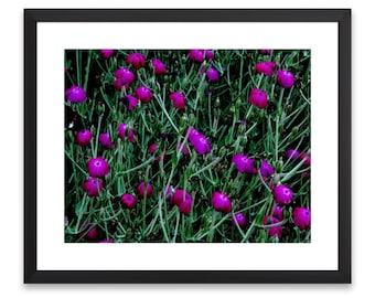 Purple Flower Photography Print, Colorful Floral Wall Art (Digital Download)
