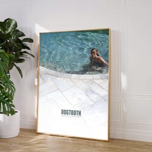 Poster del film Dogtooth, Yorgos Lanthimos, poster del film, poster del film, arte murale, idea per l'arredamento della casa, poster retrò, poster vintage, regalo per lei