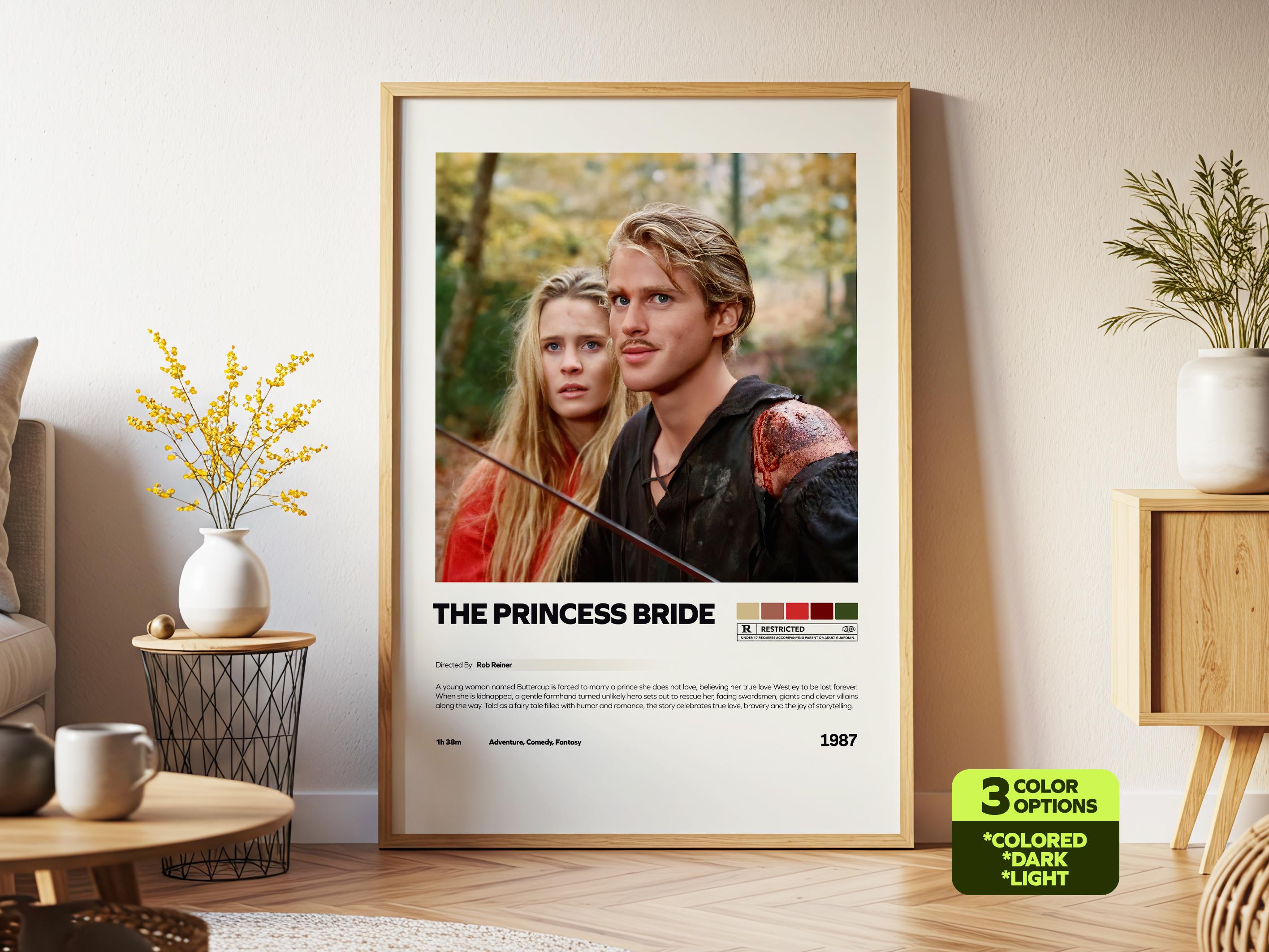 Póster La Princesa Prometida 1987 – Culto De Los 80 – Decoración De Pared 24x36 Sin Marco