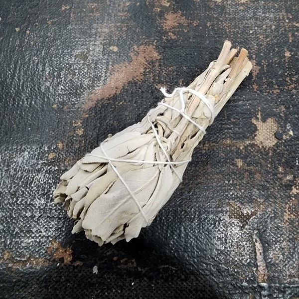 White Sage Smudge Bundle ~ Uplift your surroundings while cleansing, smudging, and renewing with sage