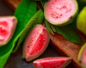 Strawberry Guava backflow incense cones ~ strawberry and guava blend with passionfruit and mango for a tropical blast ~ limited edition