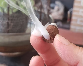 Peut inclure: Un cône d'encens brun avec de la fumée blanche qui s'en élève. Le cône est tenu entre deux doigts.