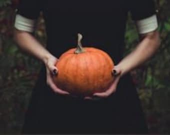 All Hallows Eve Incense Sticks ~ Apple, citrus, spice and pumpkin notes meld into this fabulous fall blend! Limited Edition Fall Incense