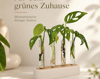 Station for cuttings · minimalist plant holder with 4 glass tubes in beige and light brown