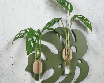 Monstera propagation station for the wall with 3 glass tubes, magnetic vase, stylish plant decoration