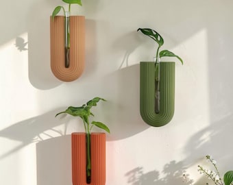 Minimalist wall vase for young plants, cuttings & decoration, propagation tube holder incl. test tube 20 x 150 mm