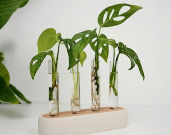 Station for cuttings · minimalist plant holder with 4 glass tubes in beige and light brown