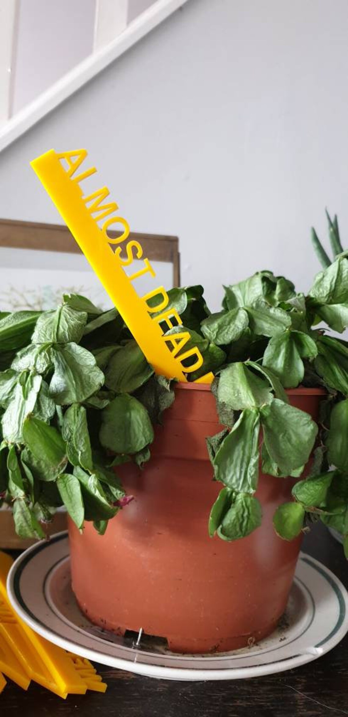 Funny Plant Labels Rude Garden Markers Tags Potted Indoor