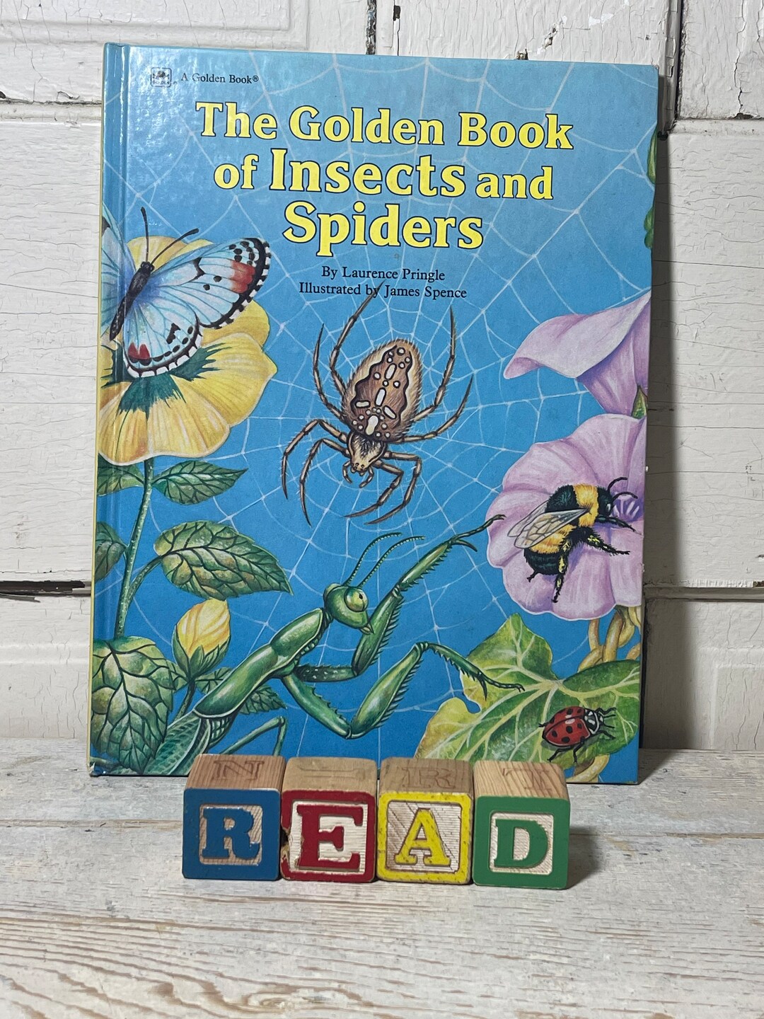 Vintage Big Golden Book, of Insects and Spiders 1990 - Etsy