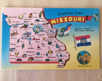 Vintage Missouri  State PostCard