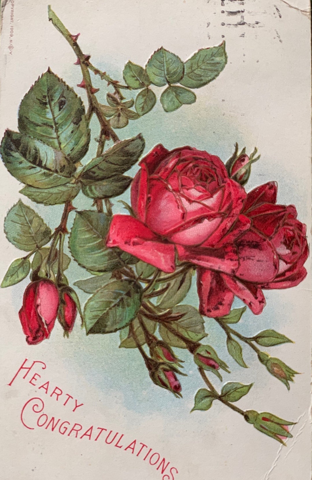 Vintage Rose Post Card 1910 Beautiful - Etsy