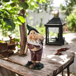 Aviso: Esses gnomos de jardim de resina não gostam de ser observados. Adicione um toque de travessura ao seu quintal!