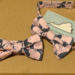 When Pigs Fly Succulent and Swan bowties for boys and men bow ties, suspenders and pocket squares image 2