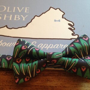 When Pigs Fly Succulent and Swan bowties for boys and men bow ties, suspenders and pocket squares Succulent