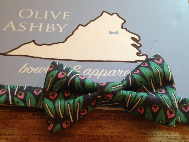 When Pigs Fly Succulent and Swan bowties for boys and men bow ties, suspenders and pocket squares Succulent