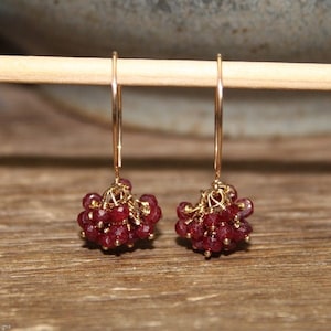 Op de afbeelding: Een paar gouden oorbellen met rode edelsteenclusters. De oorbellen hangen en hebben een eenvoudig ontwerp.