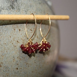 May include: Gold hoop earrings with a cluster of small, dark red gemstones dangling from each hoop.