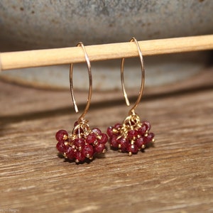 May include: Gold dangle earrings with a cluster of small, red gemstone beads.