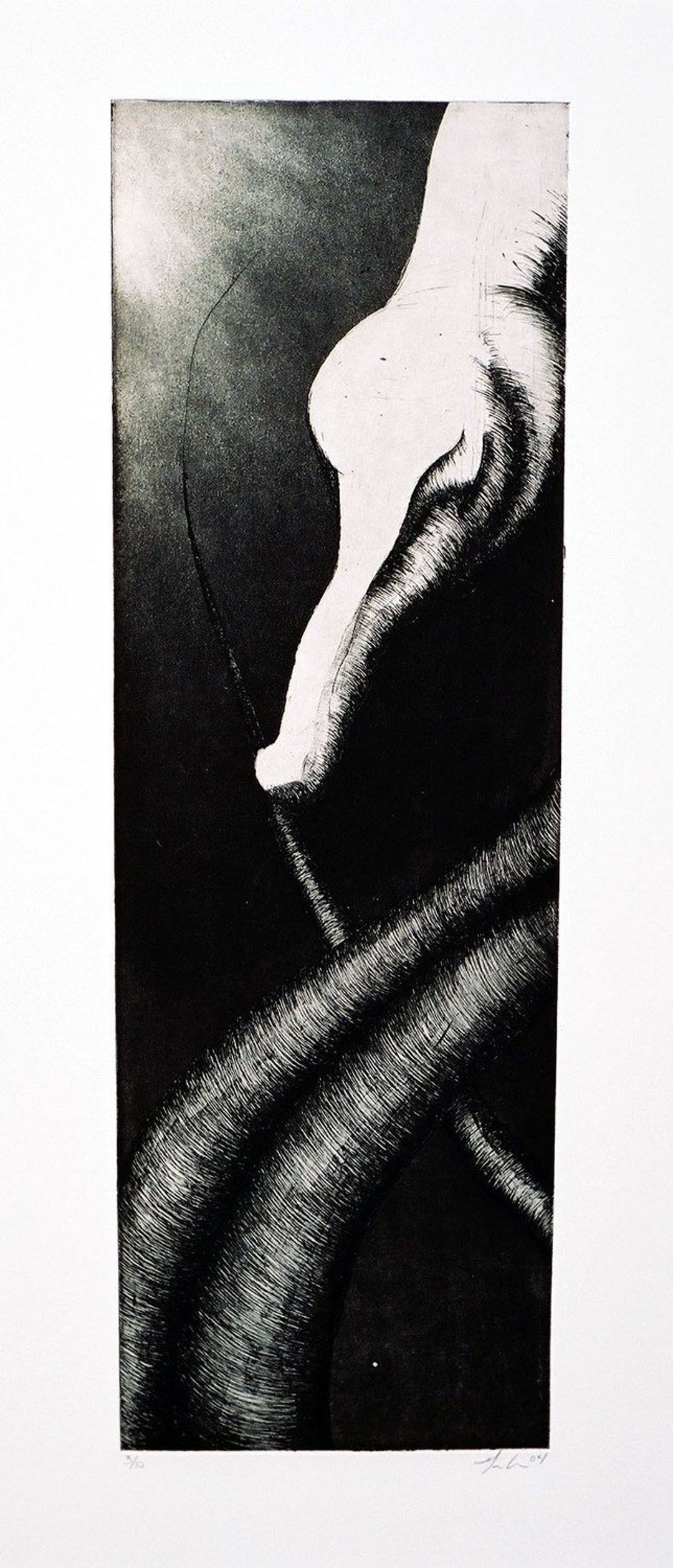 Copper Plate Etching Swan by Tganson Intaglio Print Nature Large