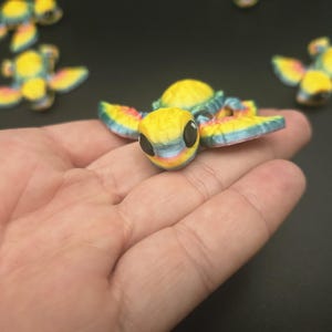 Tiny Rainbow Sea Turtle