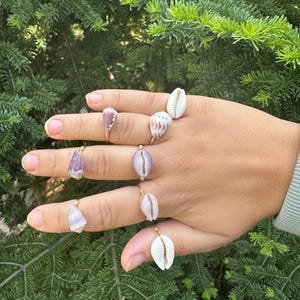 Shell Rings