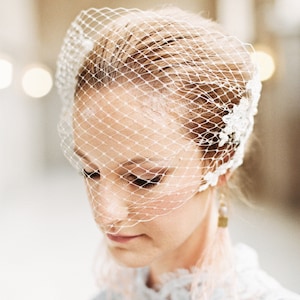 Lace birdcage veil, Champagne birdcage veil, Wedding veil