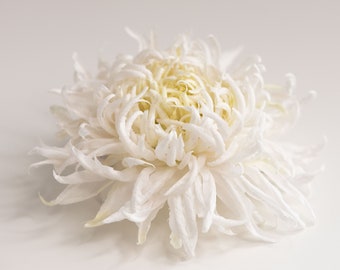 Fleur de chrysanthème en soie pour cheveux, grande broche fleur, épingle et clip fleur blanc doux - ANTHEMON