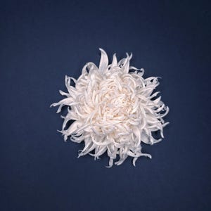 Chrysanthemum silk flower brooch, ivory – ANTHEMON image 11