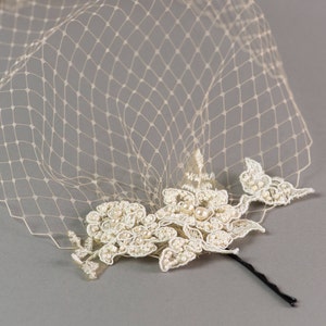 Lace birdcage veil, Champagne birdcage veil, Wedding veil image 7