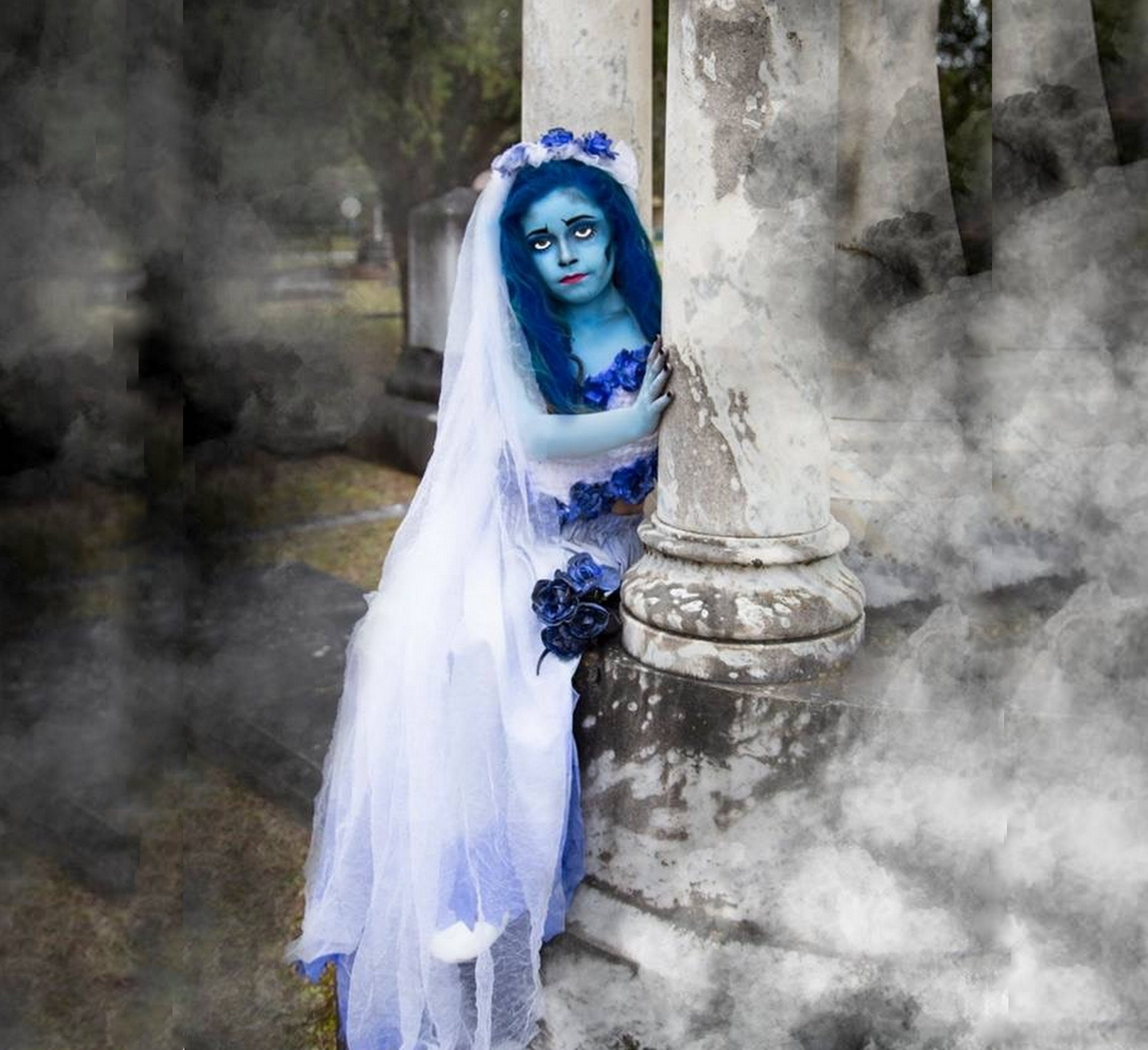 Emily the Corpse Bride Costume, Corset Top, Skirt with Train, Veil, Bouquet...