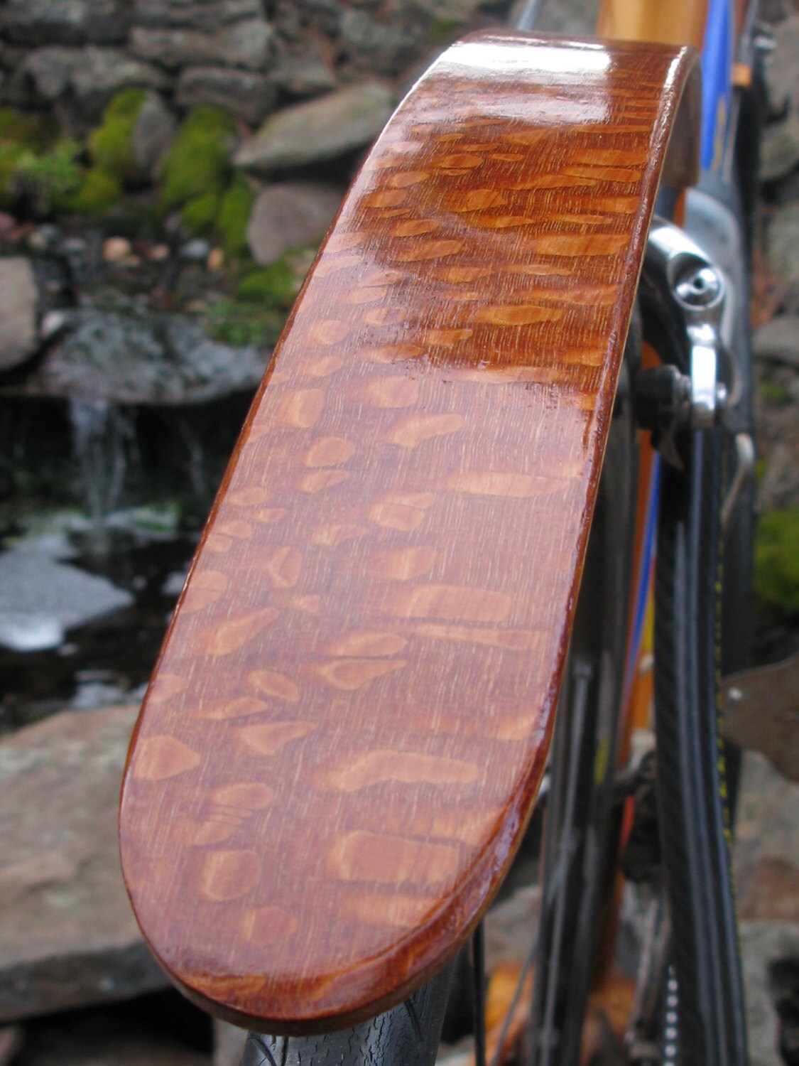 Rear Bicycle Fender Hand Made From Super Figured Leopard Wood. Etsy
