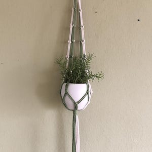 Puede incluir: Una maceta de cerámica blanca con follaje verde, suspendida en un colgador de plantas de macramé. El colgador presenta un anillo de madera en la parte superior y está hecho de cuerda anudada blanca y verde. El colgador de plantas cuelga contra una pared verde claro.