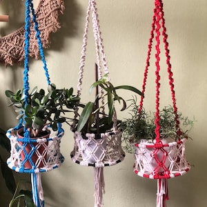 Op de afbeelding: Drie macramé plantenhangers in blauw, wit en rood, elk met een potplant. De hangers zijn opgehangen aan een houten roede. De planten zijn onder meer een jadeplant, een groene bladplant en rozemarijn.