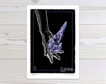 Lupine print