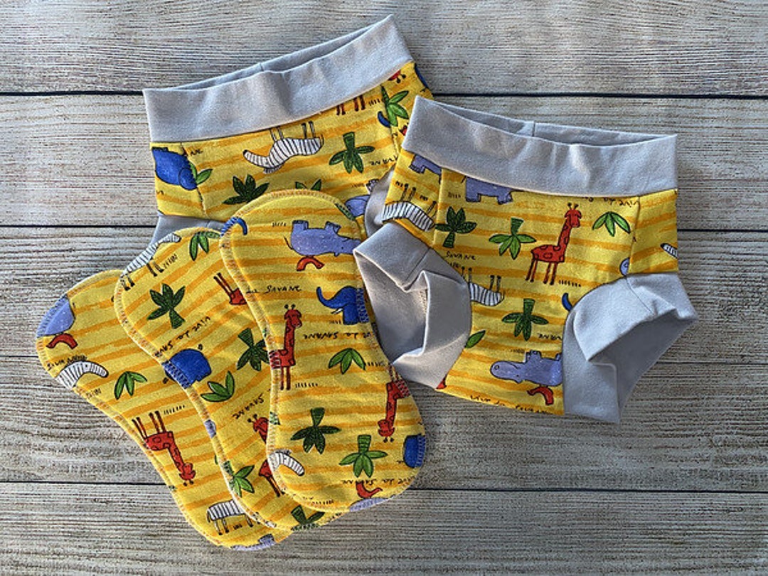 Buy TWO Size 2-3 Comfy Undies With THREE Trainer Inserts Package Training  Pants Children's Underwear Online in India 