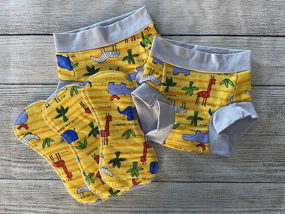 Buy TWO Size 2-3 Comfy Undies With THREE Trainer Inserts Package Training  Pants Children's Underwear Online in India 