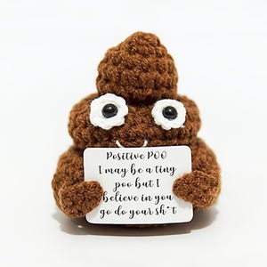Positieve poep gehaakt pluche – handgemaakt grappig cadeau voor vriend, collega of kantoor – schattig bureaudecor en speelgoed met emotionele steun