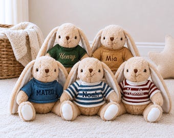 Personalized Embroidered Bunny Plush, Custom Name Stuffed Rabbit, Soft Keepsake Gift for Baby Shower and Nursery Decor