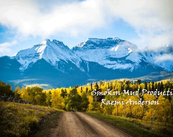 Colorado Art, Nature Photography, Nature Wall Art, Colorado Photography , Colorado Wall Art , Ouray Art , Ouray Colorado Art , Aspens