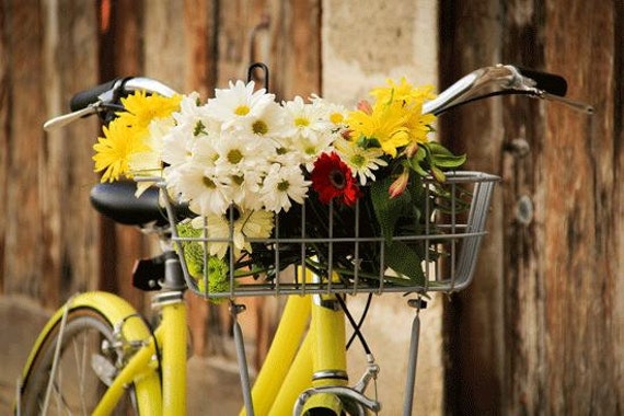 yellow basket bike