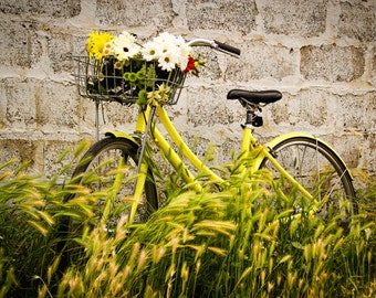 Bike Photography Fine Art Print , Bike Art , Bike Basket , Summer,  5 Seconds Of Summer , Yellow, Green , Wall Art , Home Decor