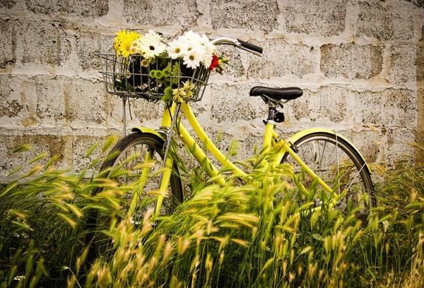 Bike Photography Fine Art Print Bike Art Bike Basket | Etsy