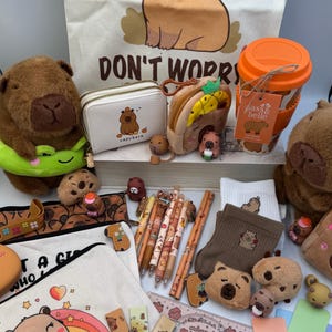 May include: A collection of capybara-themed merchandise, including plush toys, a tote bag with the text "DON'T WORRY", a wallet, pencil cases, pens, socks, and a travel mug. The items feature capybara illustrations in various poses and designs.