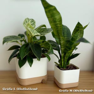 eckiger Blumentopf 3D Druck weiß - braun, Übertopf mit Drainage, integrierter Auffangschale, für Schreibtisch / Fensterbank im Büro, Bad