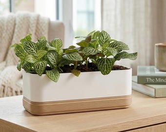 Blumentopf "Irene Trio", 3D Druck, Pflanztopf minimalistisch, mit Drainage, Büro Deko Schreibtisch modern, Geschenk für Pflanzenfreunde