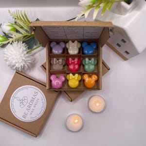 Disney Inspired Wax Melt Sample Box
