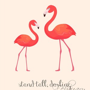 Stand Tall, Darling - Flamingos Wall Art Printable - Blush Pink 8x10 ...