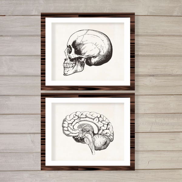 Human Skull and Brain Vintage Instant Download Printable Wall Art Set of 2 11x14 Doctor Office Hospital Decor Medical Student Gift Steampunk