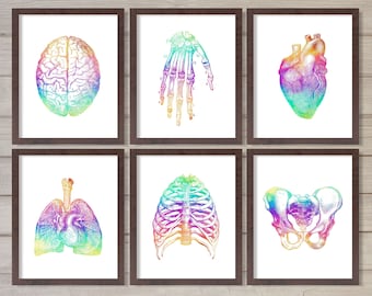 Human Anatomy Retro Rainbow Instant Download Printable Wall Art Set of 6 8x10 Doctor Office Hospital Decor Medical Student Gift Best Seller